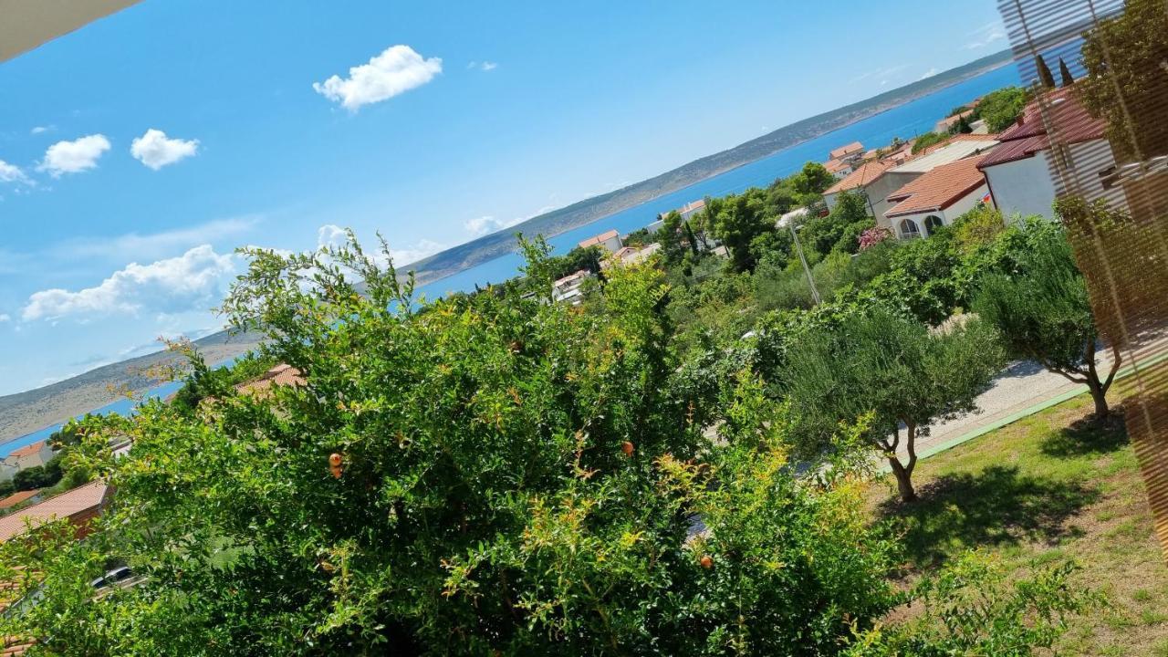 Arts Room Jasmina With Sea View Bikers And Pets Are Welcome Starigrad Paklenica Extérieur photo